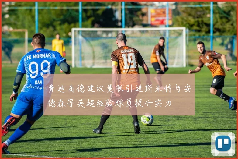 费迪南德建议曼联引进斯米特与安德森等英超经验球员提升实力